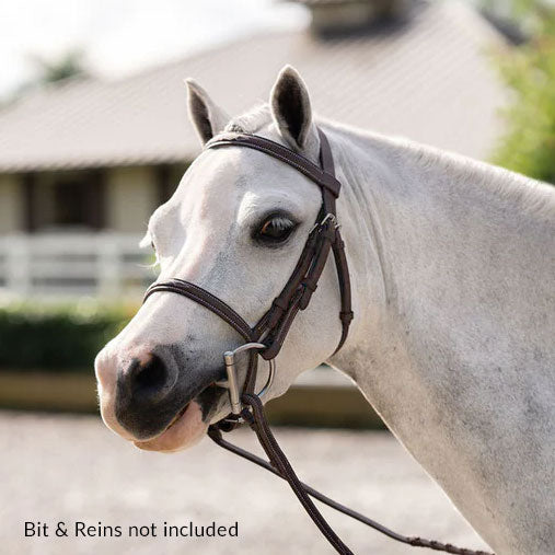 Belle & Bow Farnley Pony Bridle